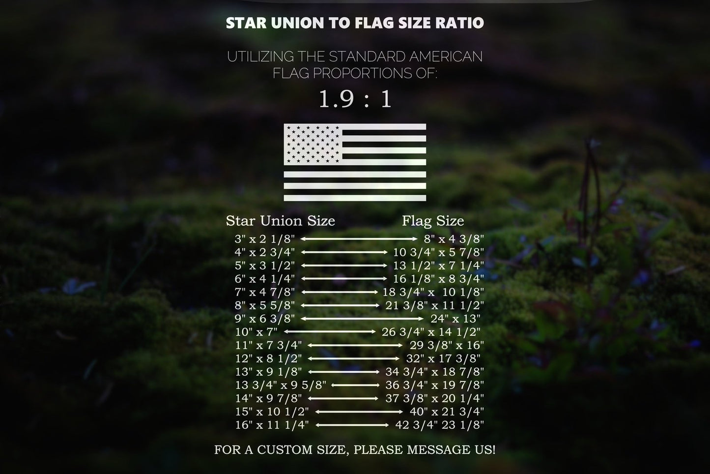 American Flag Star Union Stencil | 317