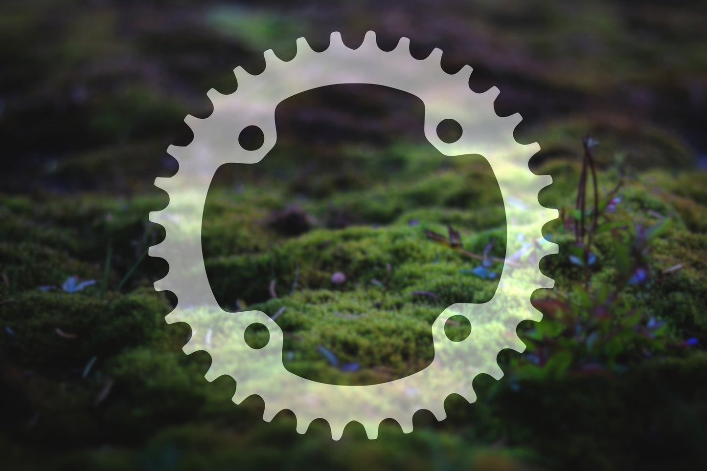 Mountain Bike Chainring Vinyl Decal | 272