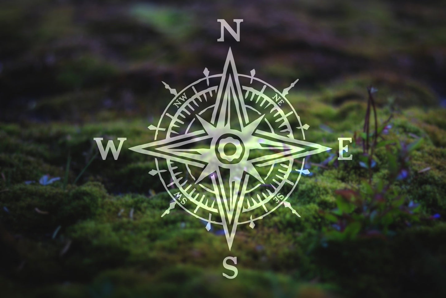 Compass Rose Vinyl Decal | 276