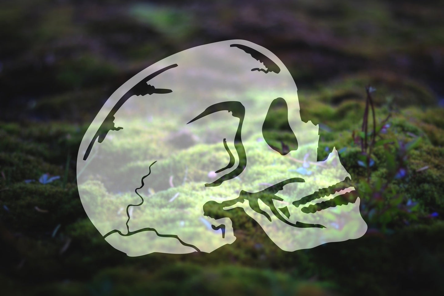 Skull Vinyl Decal | 279