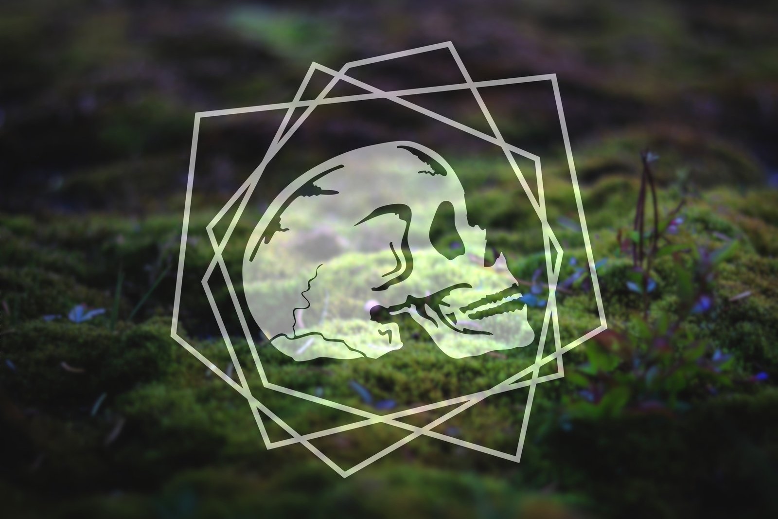 Line Art Skull Vinyl Decal | 280