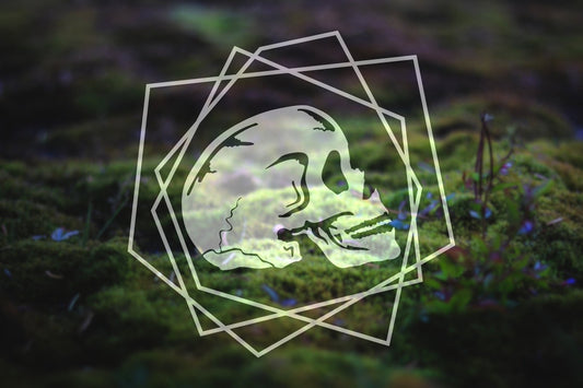 Line Art Skull Vinyl Decal | 280