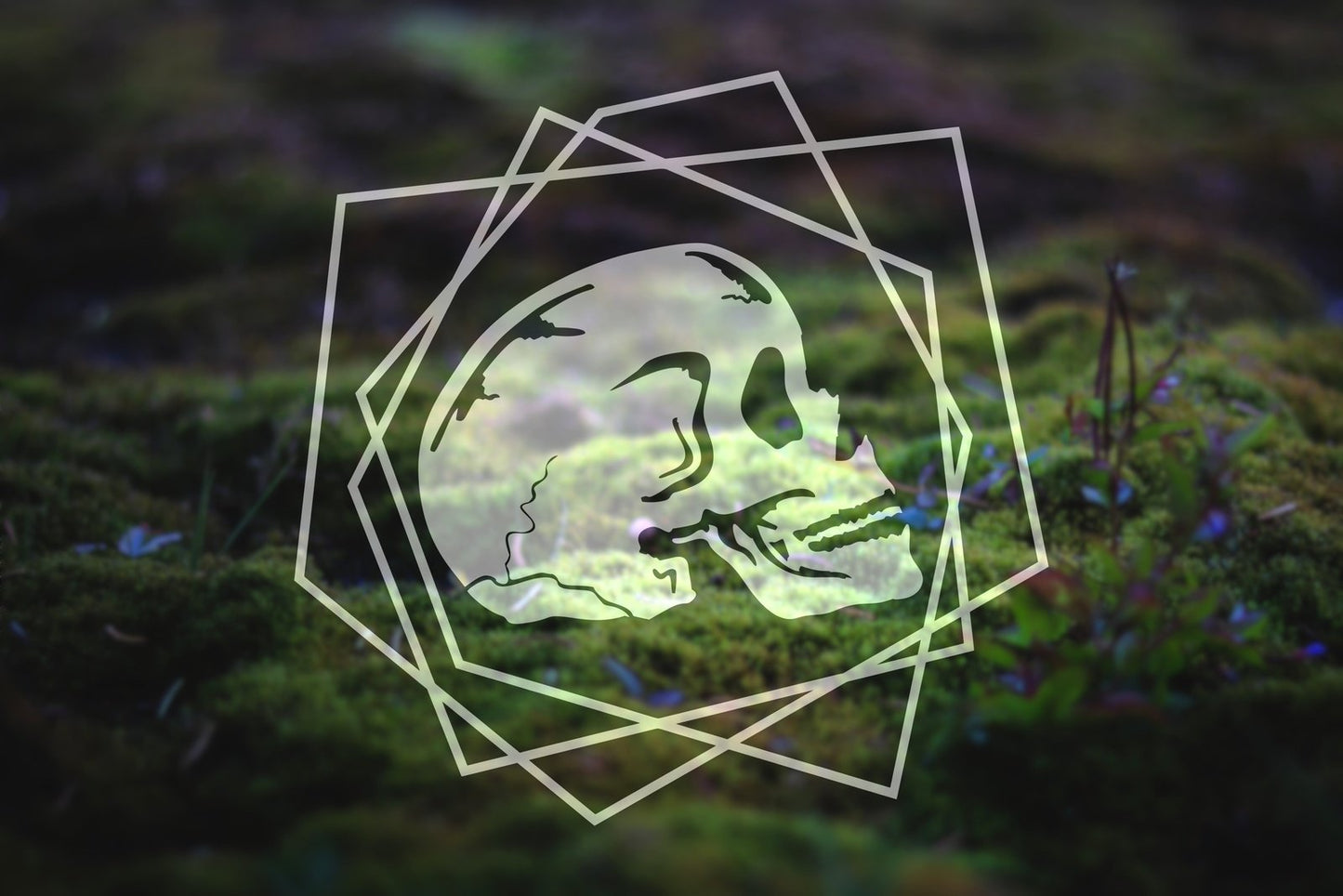 Line Art Skull Vinyl Decal | 280