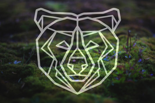 Line Art Bear Head Viny Decal | 282