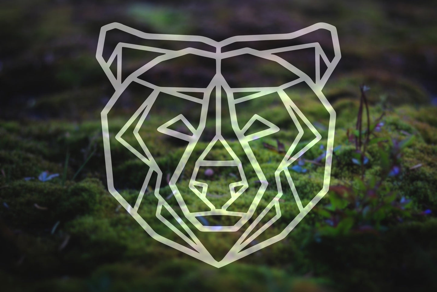 Line Art Bear Head Viny Decal | 282