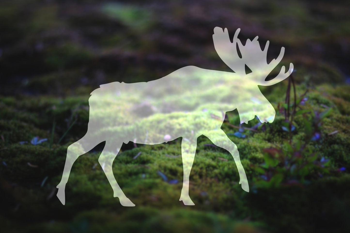 Moose Silhouette Vinyl Decal | 292