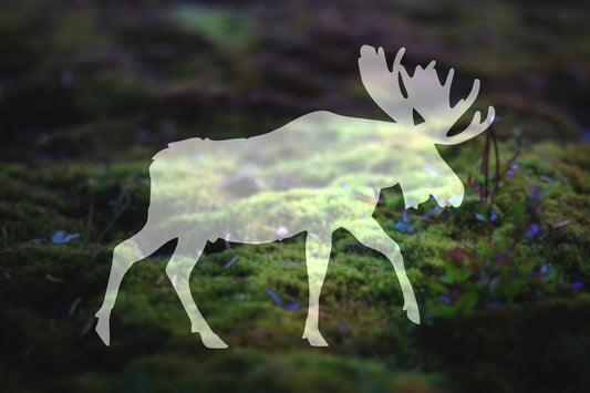 Moose Silhouette Vinyl Decal | 292