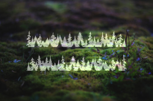 Mirrored PAIR of Forest Banner Vinyl Decals | 107P