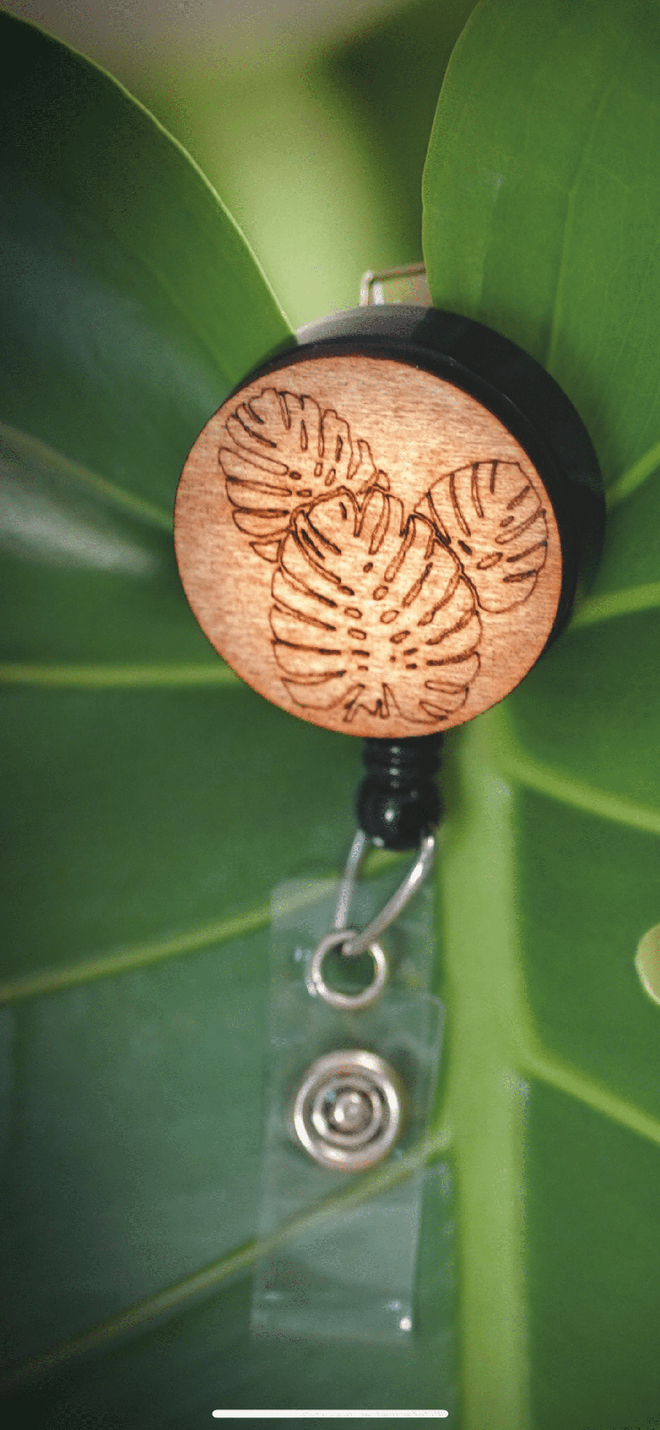 Monstera Leaves Badge Reel | 1