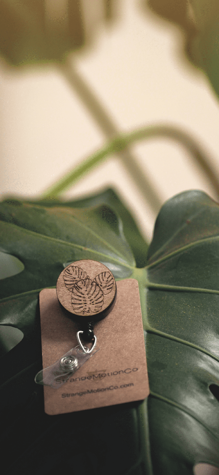 Monstera Leaves Badge Reel | 1