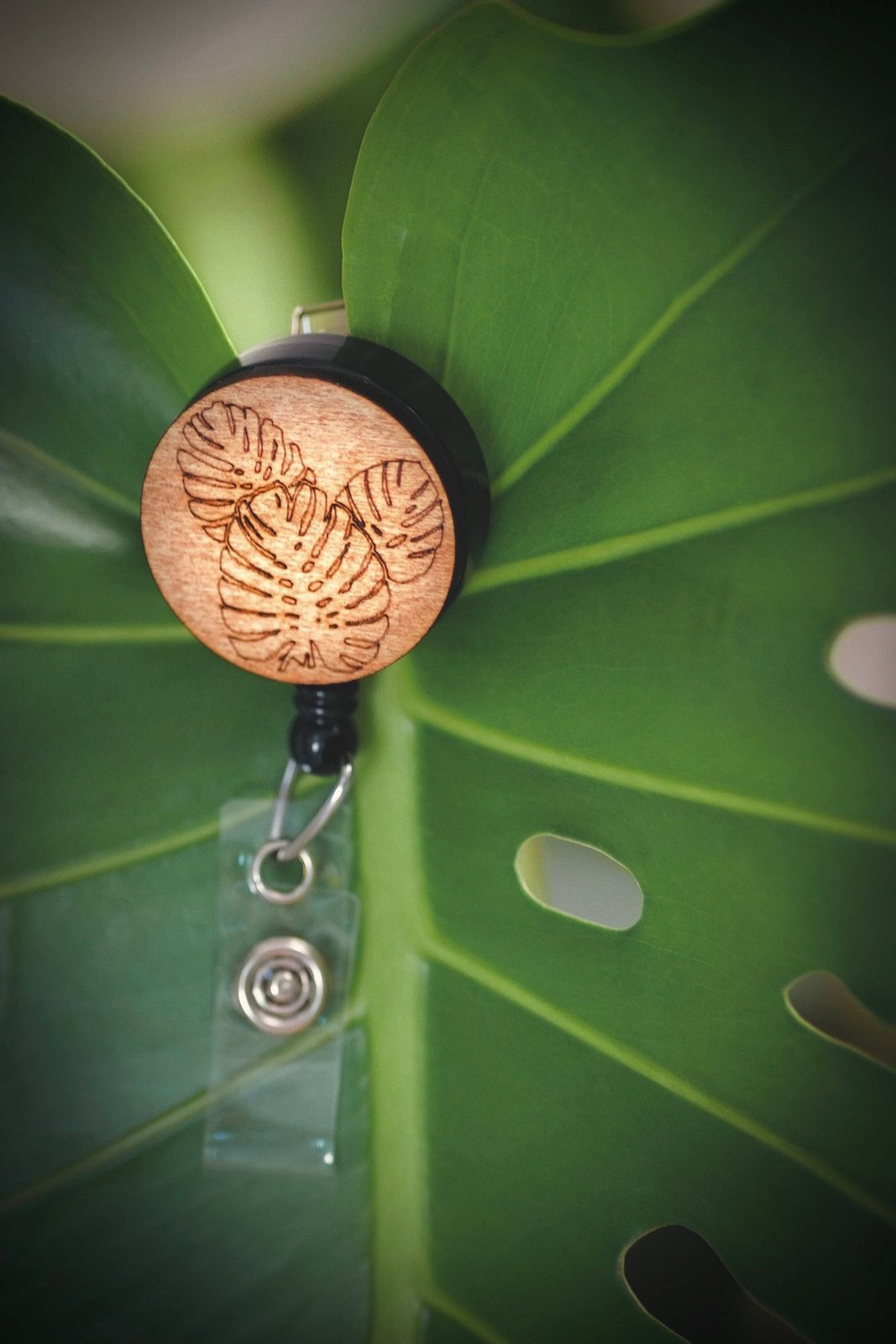Monstera Leaves Badge Reel | 1