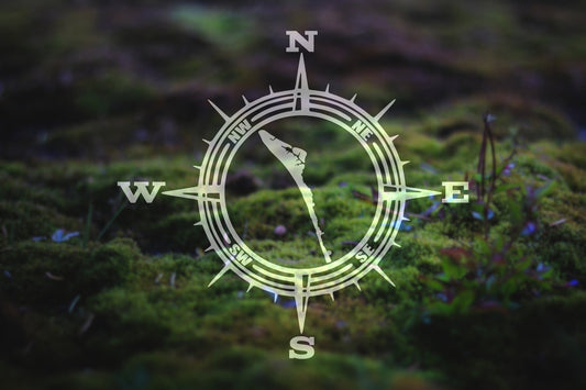 Anna Maria Island Compass Vinyl Decal | 44