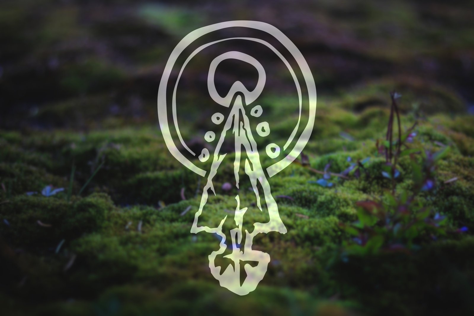 Arrowhead and Moon Vinyl Decal | 48