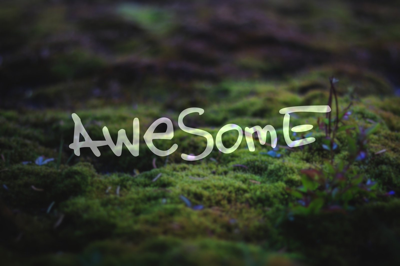 Awesome Vinyl Decal | 49