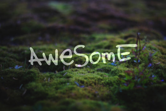 Awesome Vinyl Decal | 49