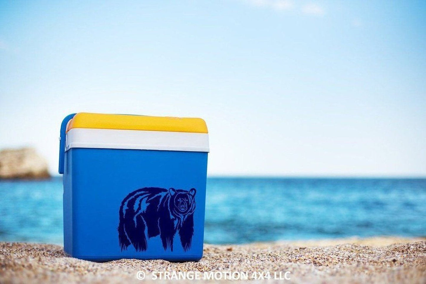 Black Bear Vinyl Decal | 33
