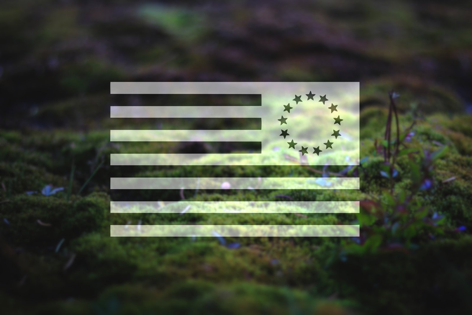 Betsy Ross American Flag Vinyl Decal Pair | 160P