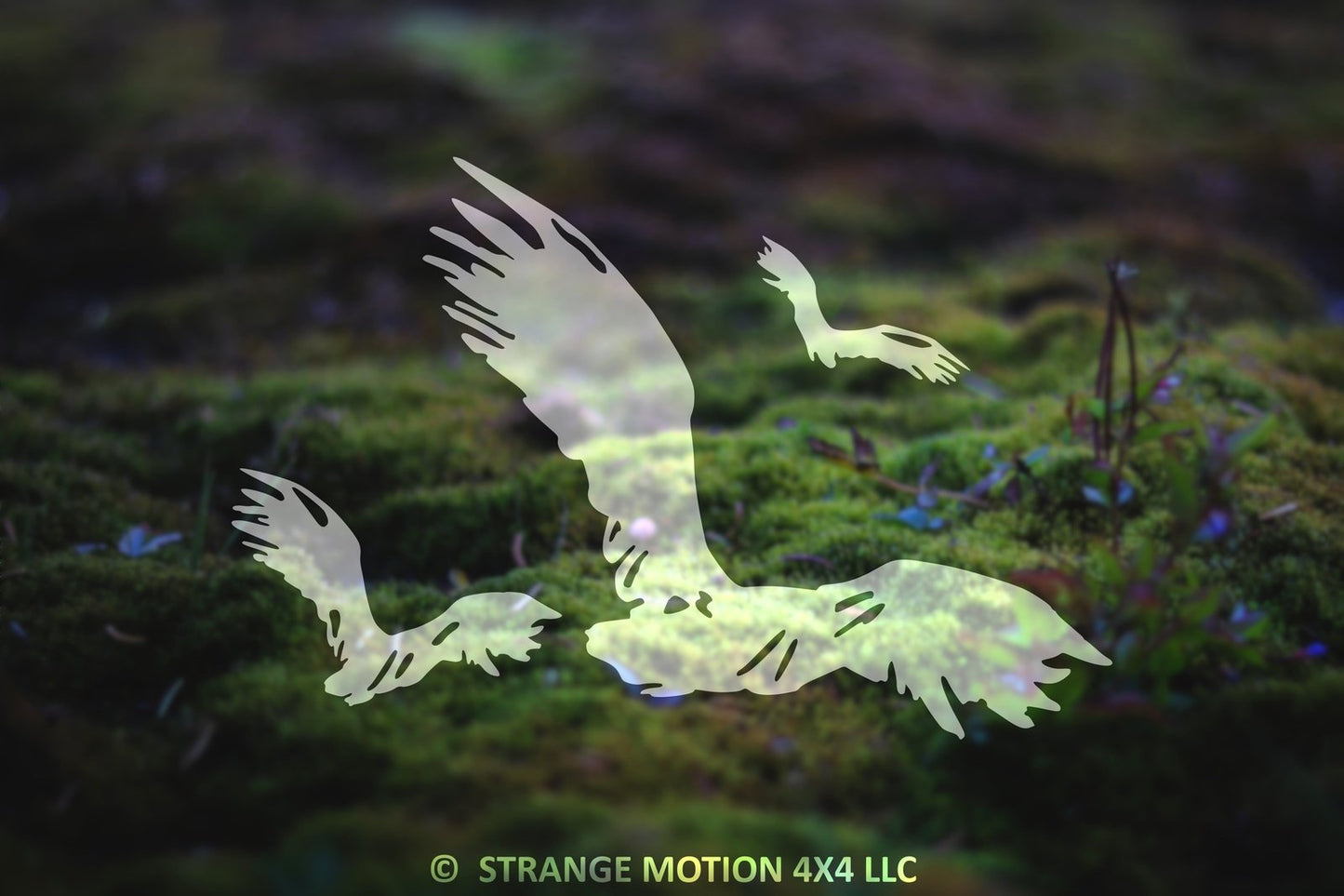Flying Birds Vinyl Decal | 93