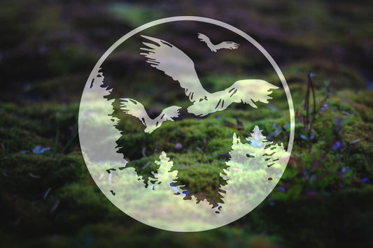 Birds and Trees Circle Vinyl Decal | 91