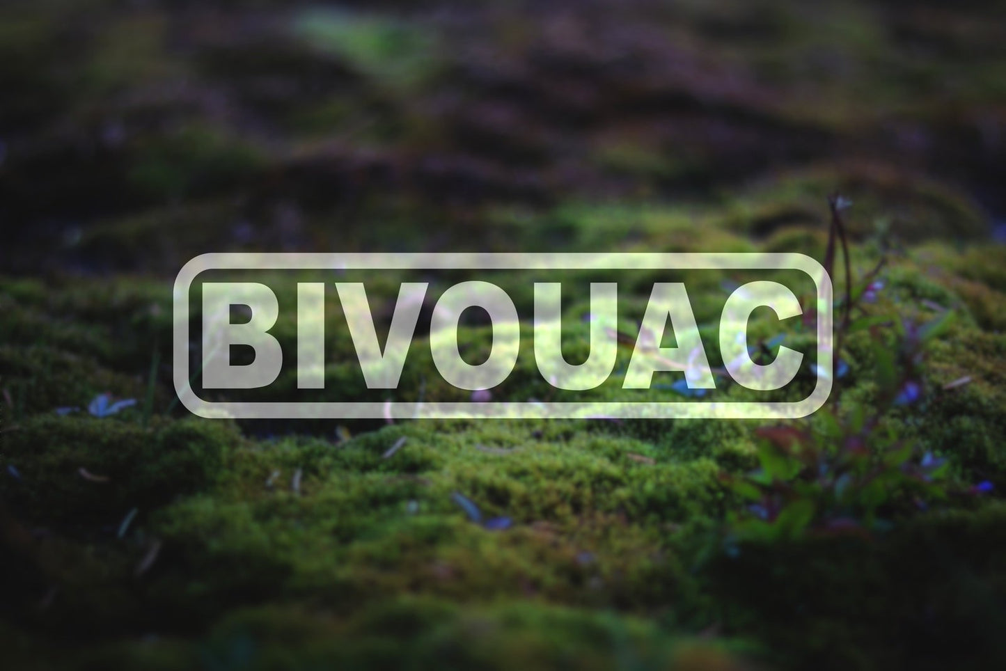 Bivouac Vinyl Decal | 94