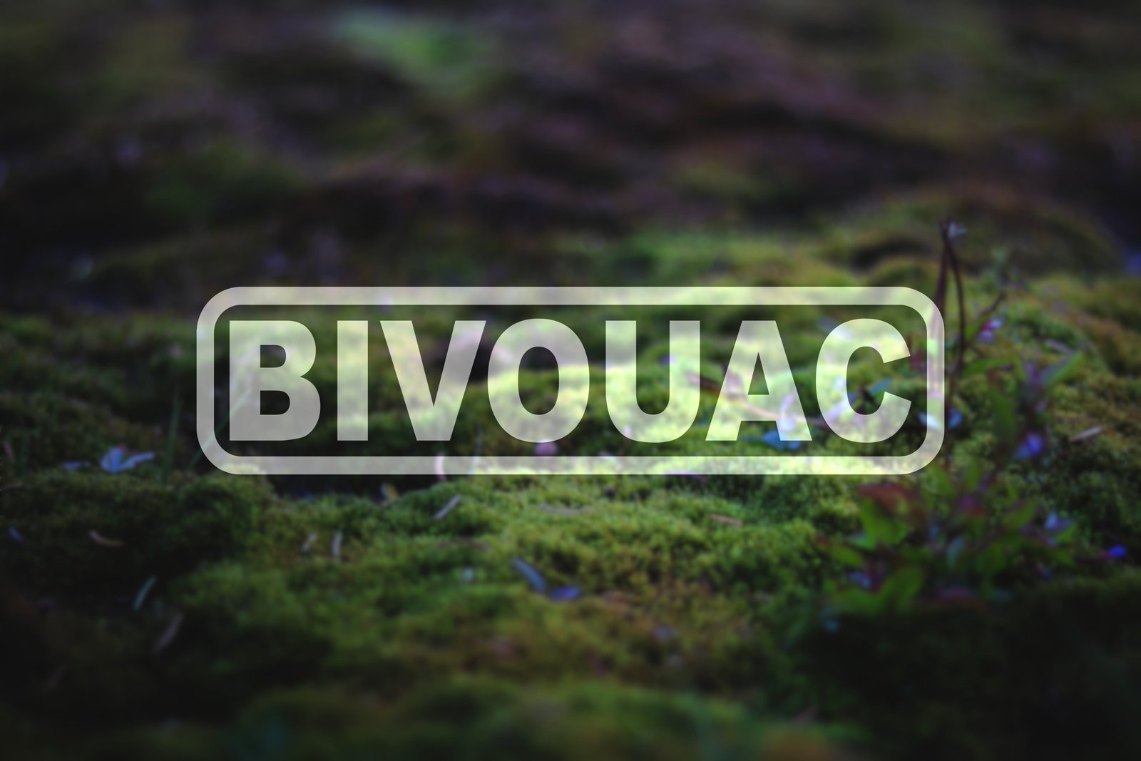 Bivouac Vinyl Decal | 94
