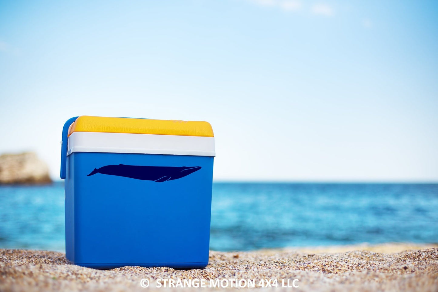 Blue Whale Vinyl Decal | 95