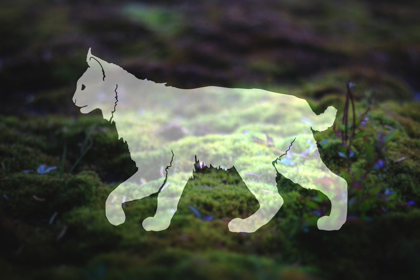 Bobcat Vinyl Decal | 267
