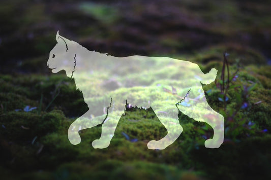 Bobcat Vinyl Decal | 267