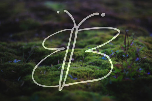 Butterfly Vinyl Decal | 244