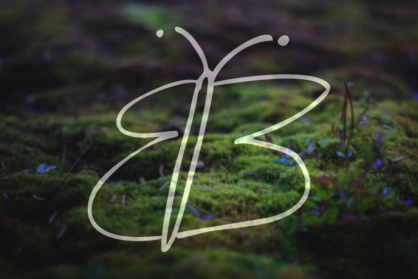 Butterfly Vinyl Decal | 244