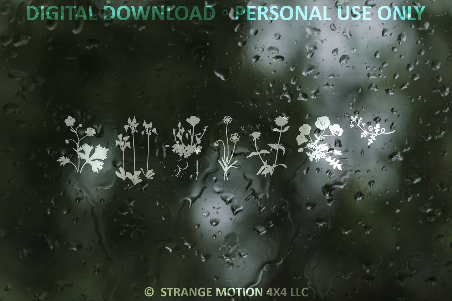 Wildflower File Pack Bundle - Personal Use