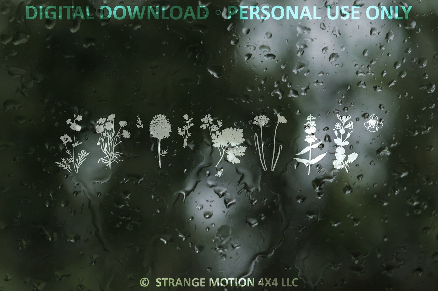Wildflower File Pack Bundle - Personal Use