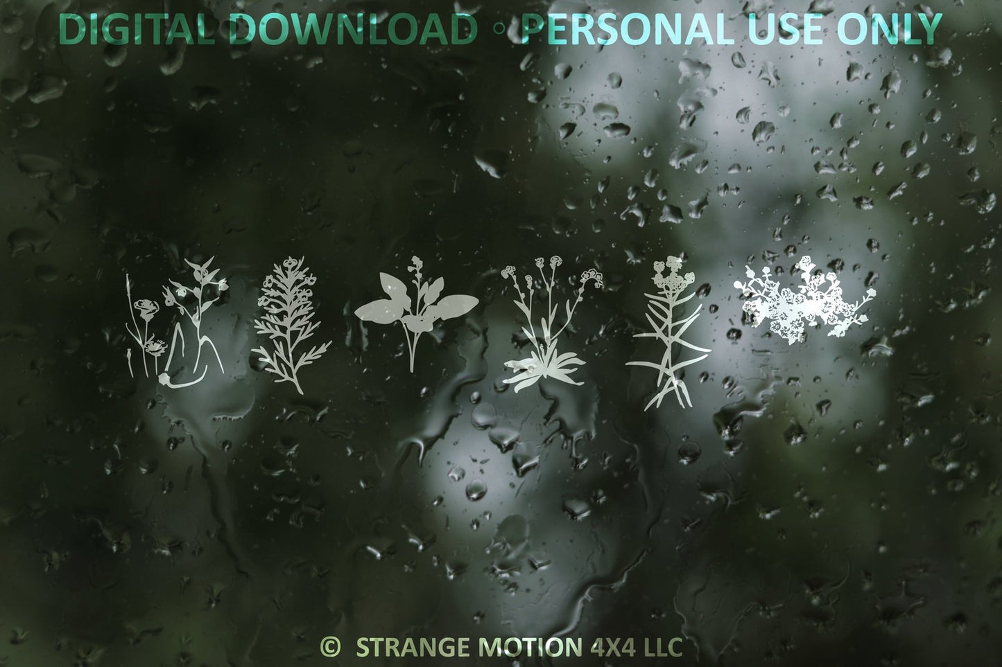 Wildflower File Pack Bundle - Personal Use