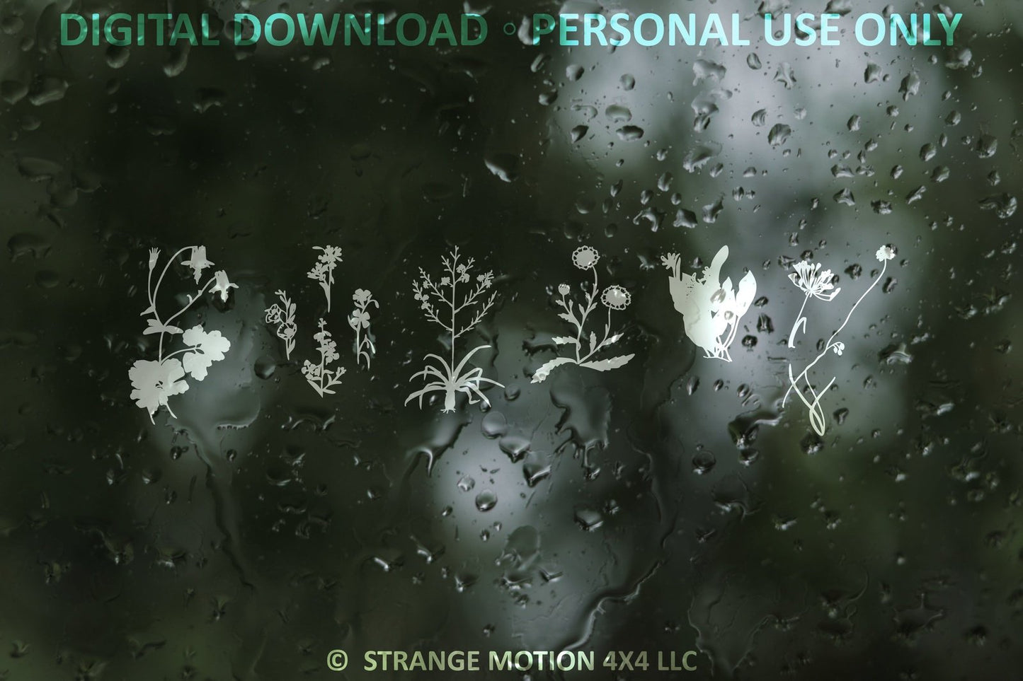 Wildflower File Pack Bundle - Personal Use