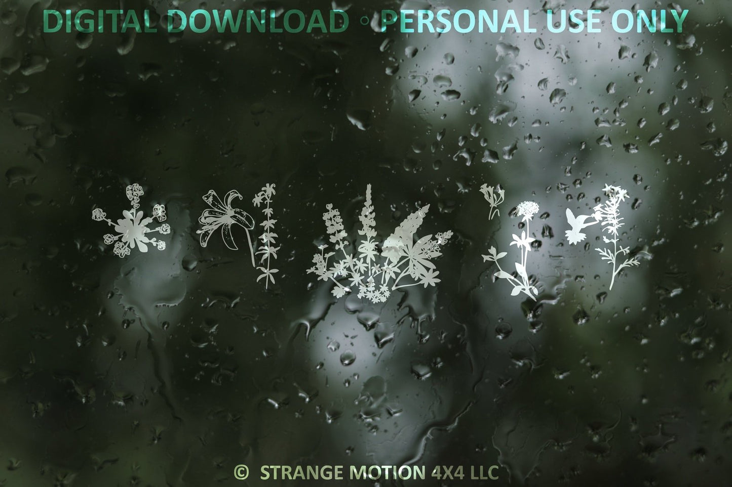 Wildflower File Pack Bundle - Personal Use