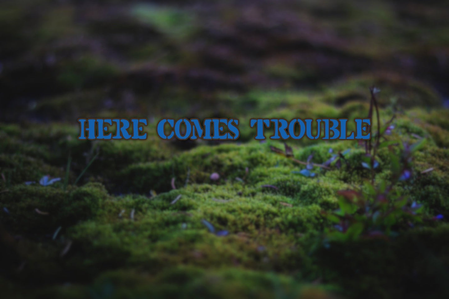 SD - Here Comes Trouble Windshield Banner - 48" - Azure Blue & Brown