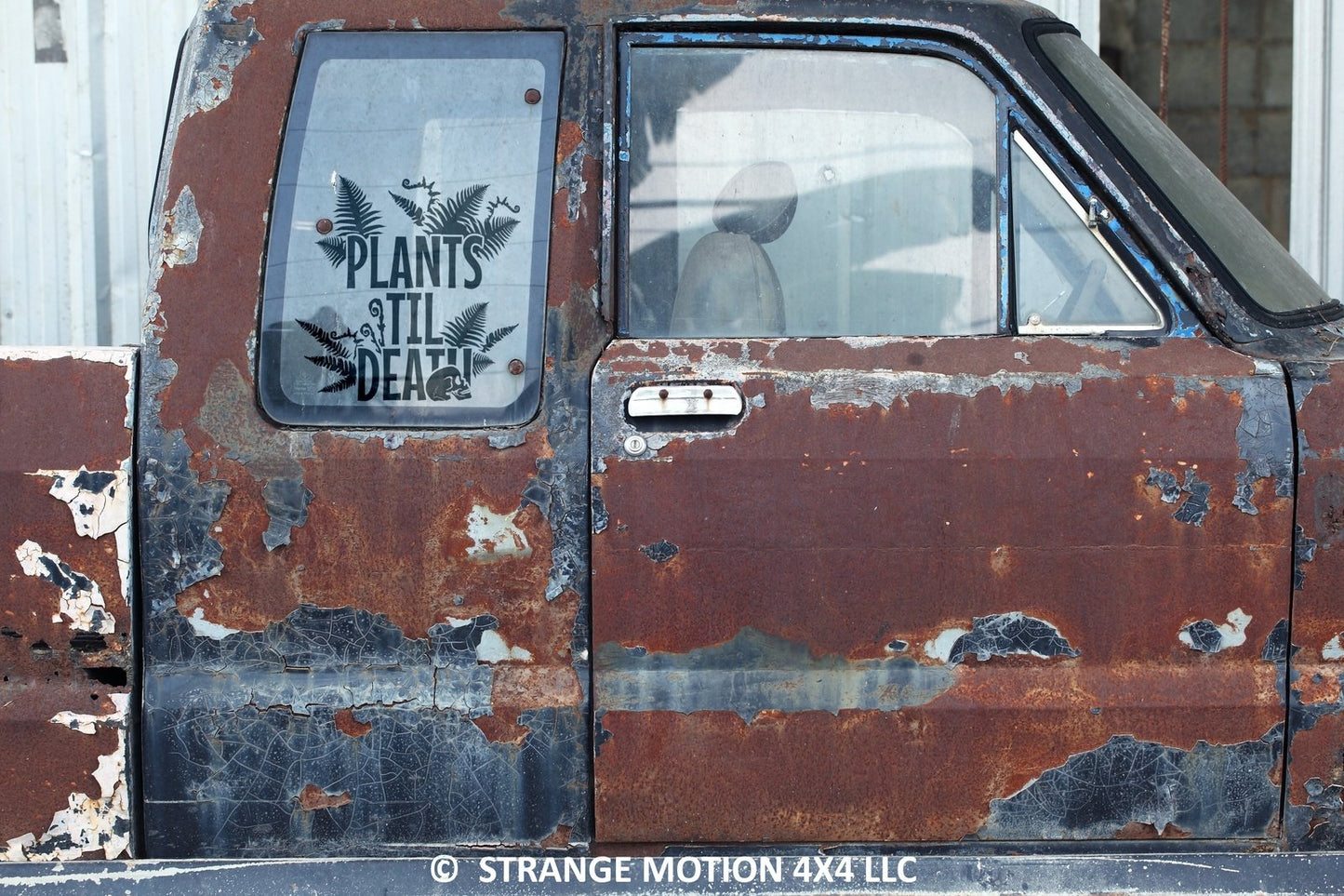 Plants Til Death Vinyl Decal | 29