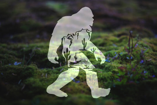 Desert Bigfoot Vinyl Decal | 10