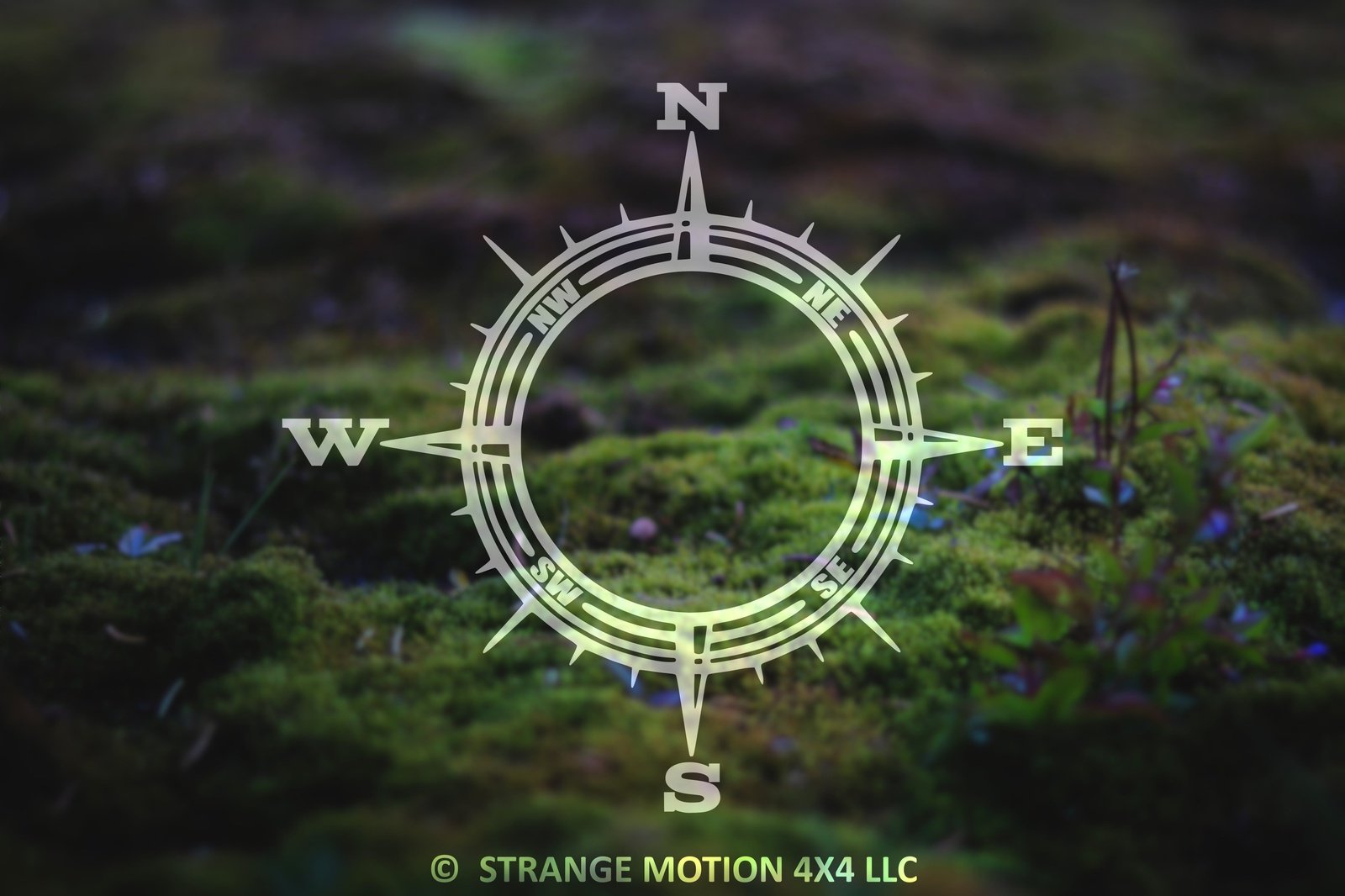 Compass Vinyl Decal | 64