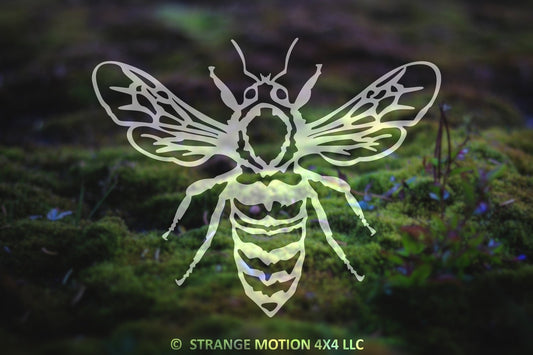 Honey Bee Vinyl Decal | 54