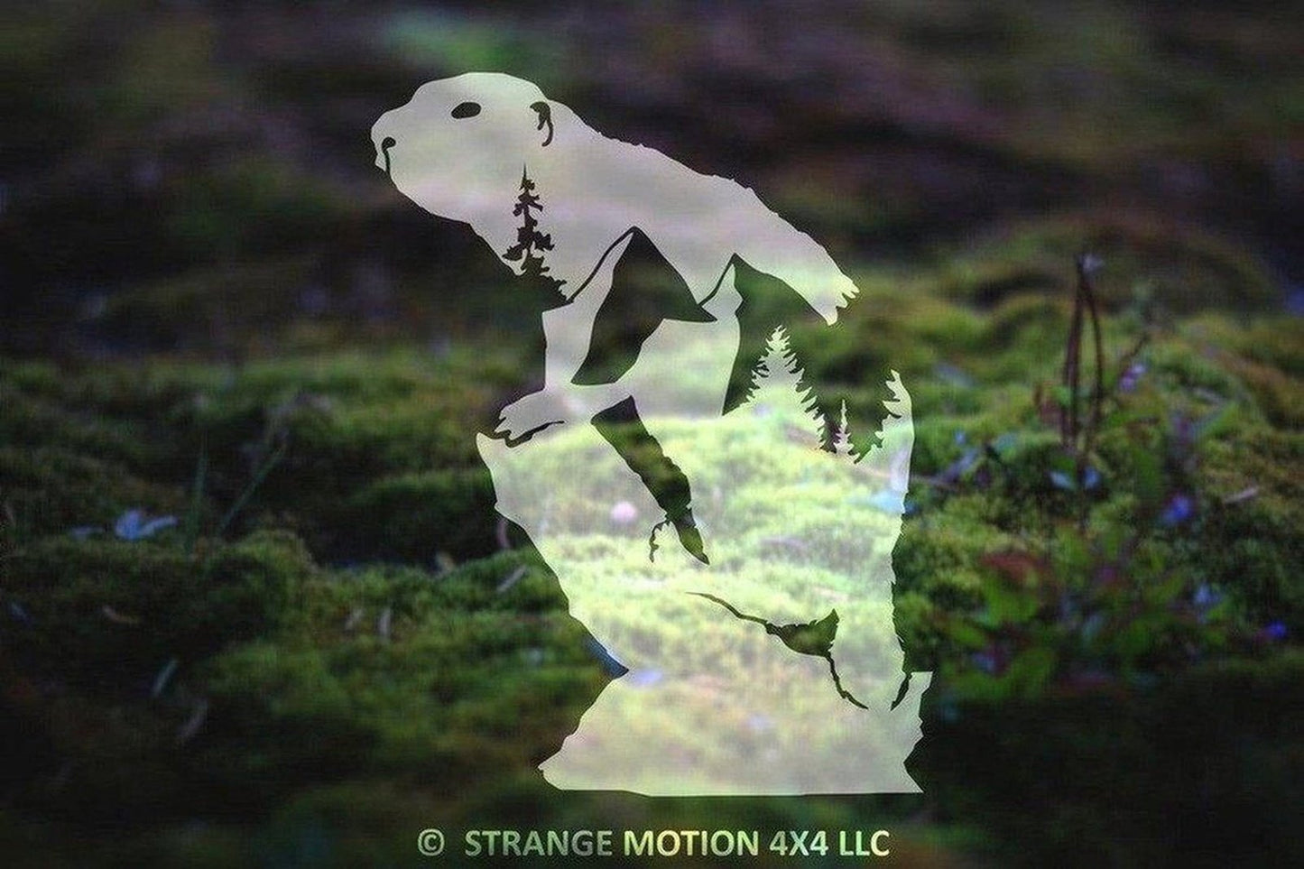 MLTK - Mountain Marmot