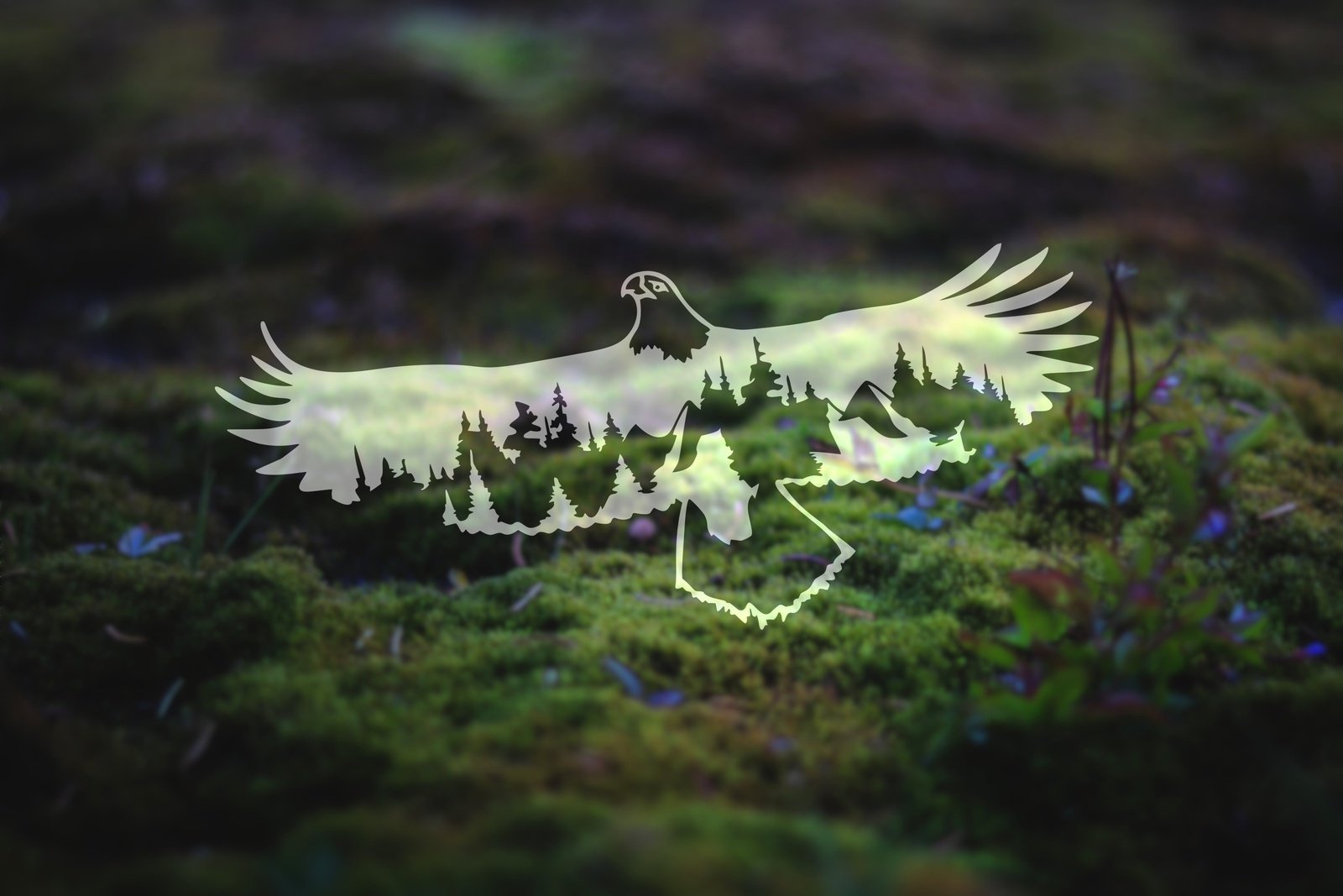 Mountain Bald Eagle Vinyl Decal | 52