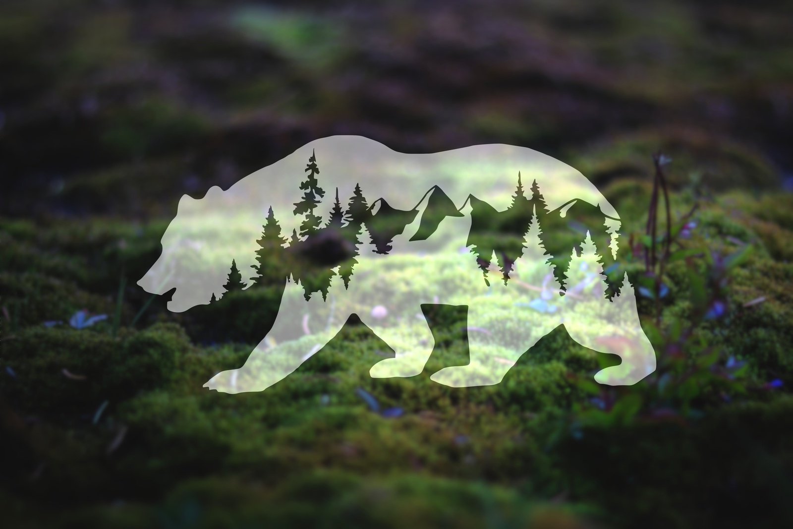 Mountain Bear Vinyl Decal | 31