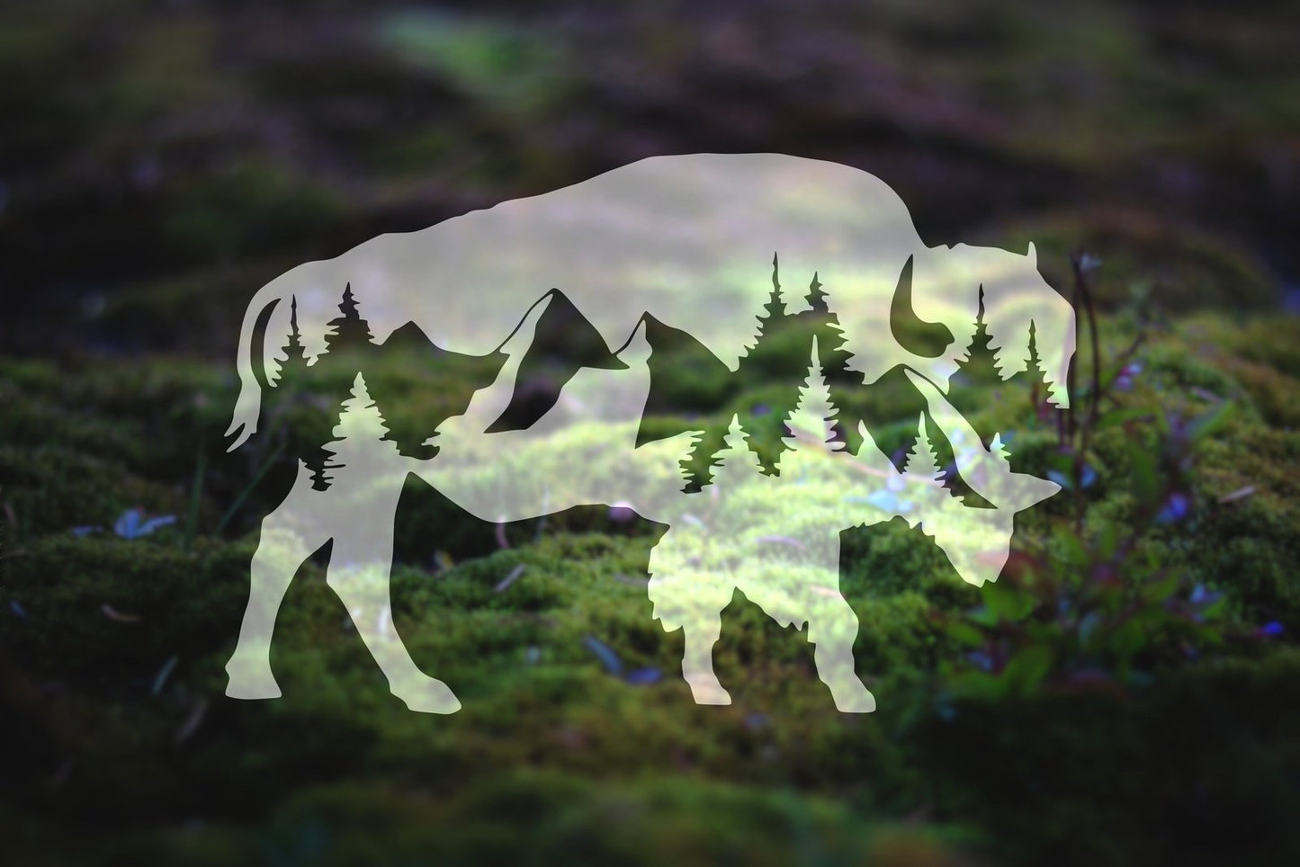 Mountain Buffalo Vinyl Decal | 138