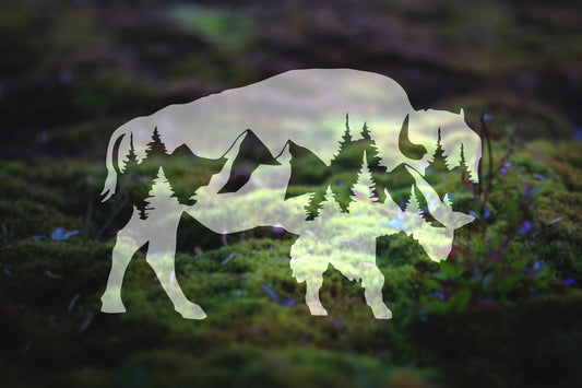 Mountain Buffalo Vinyl Decal | 138