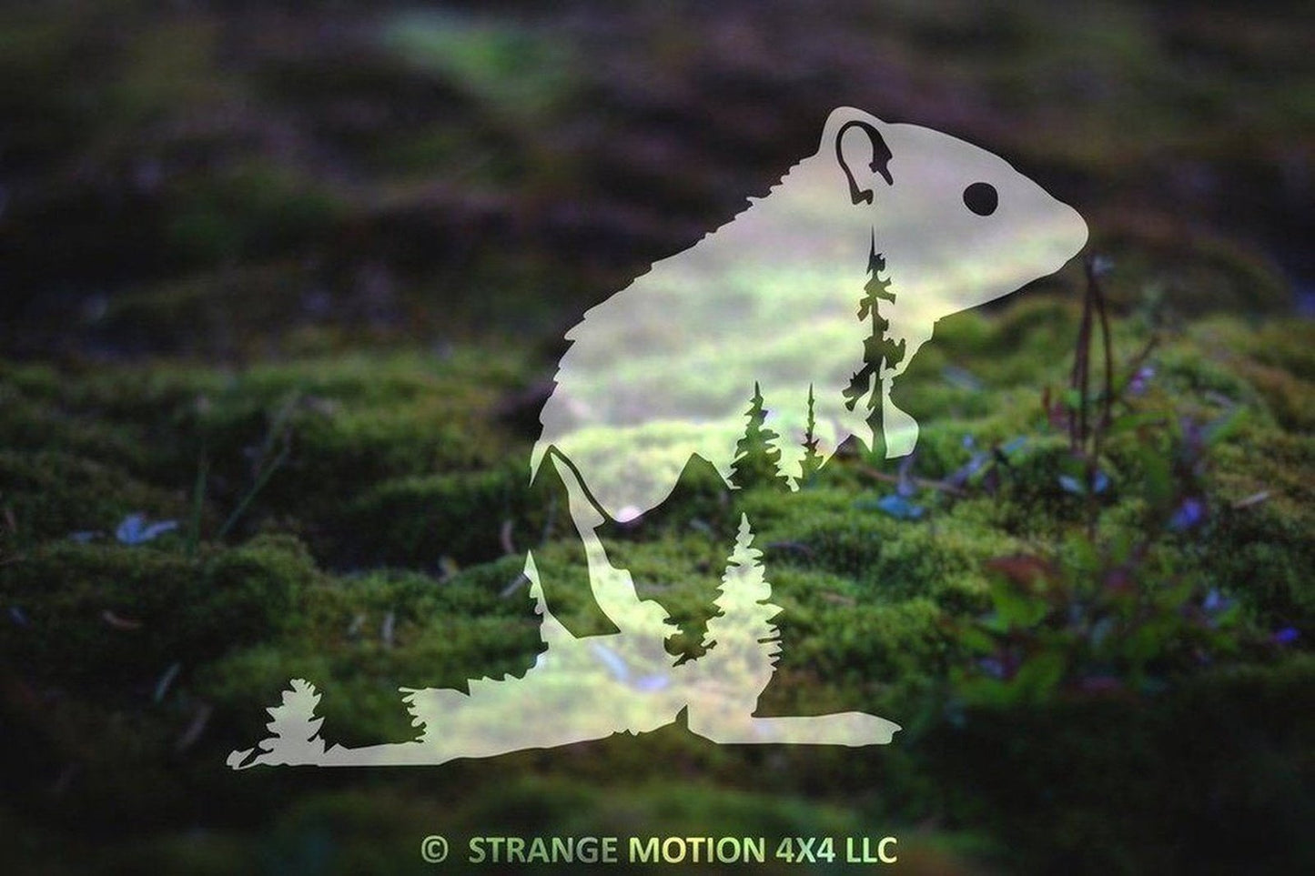 Mountain Chipmunk Vinyl Decal | 102