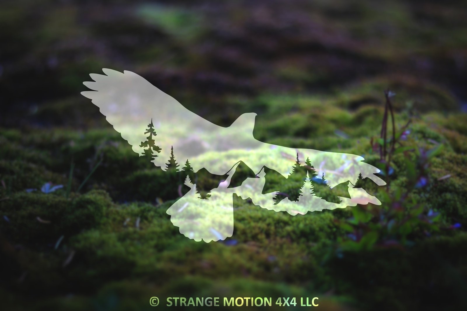 Mountain Hawk Vinyl Decal | 71