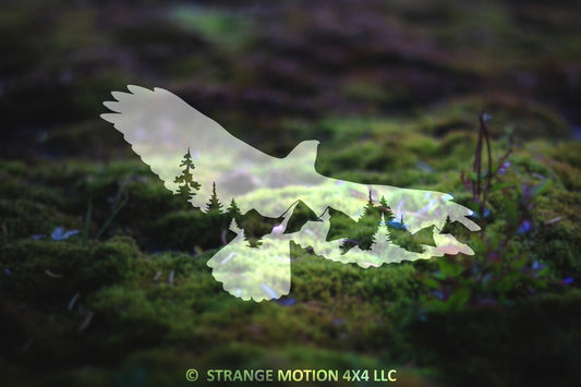 Mountain Hawk Vinyl Decal | 71