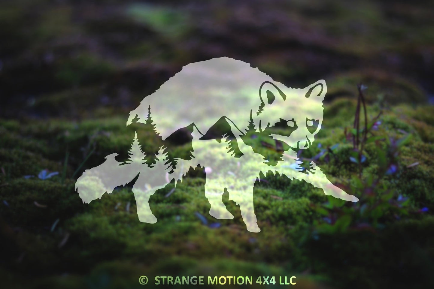 Mountain Raccoon Vinyl Decal | 145