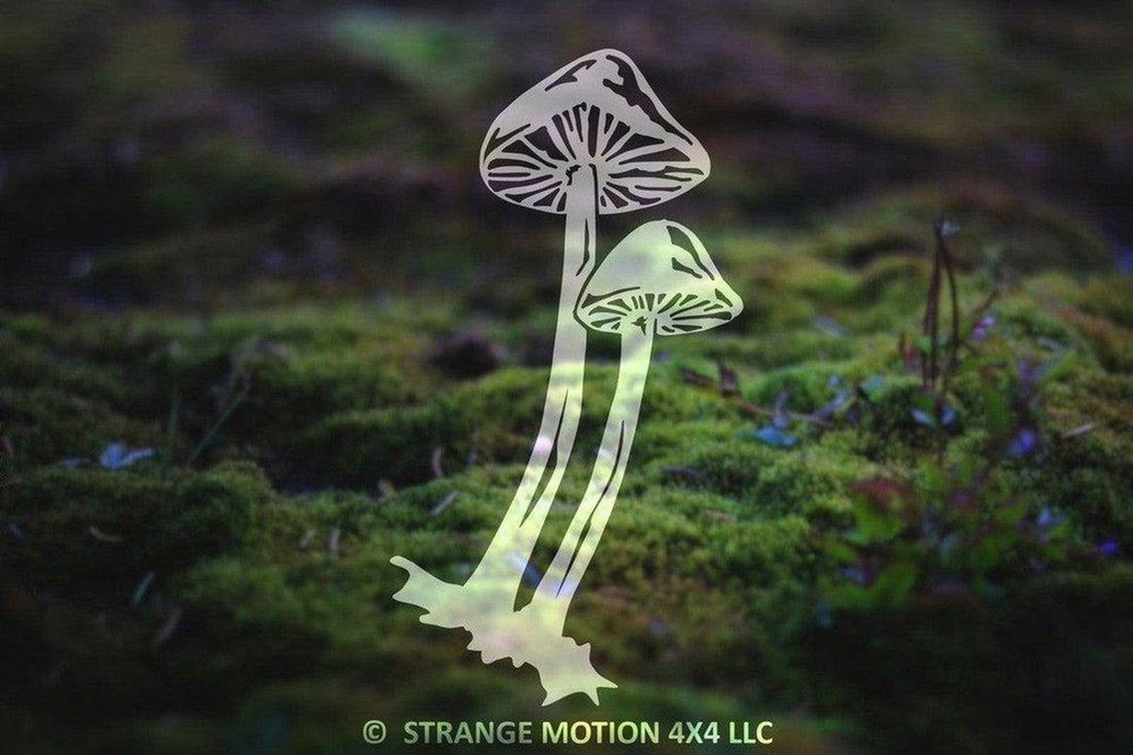 Two Mushrooms Vinyl Decal | 122